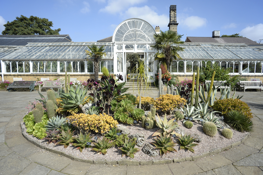 Palmengarten in Birmingham
